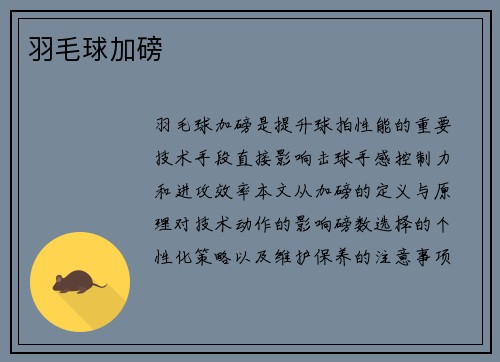 羽毛球加磅